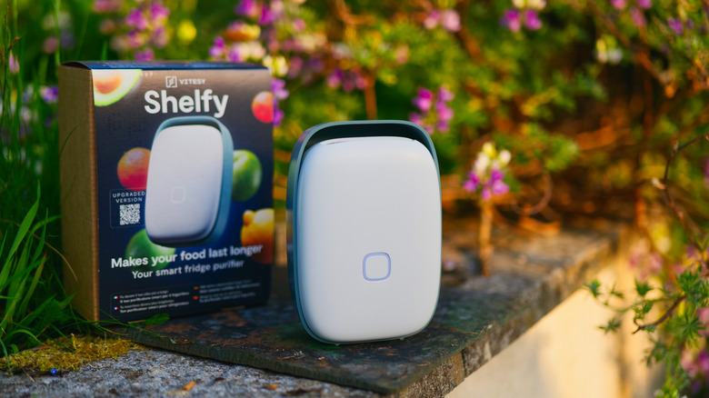 The Shelfy device next to its box in an outdoor setting
