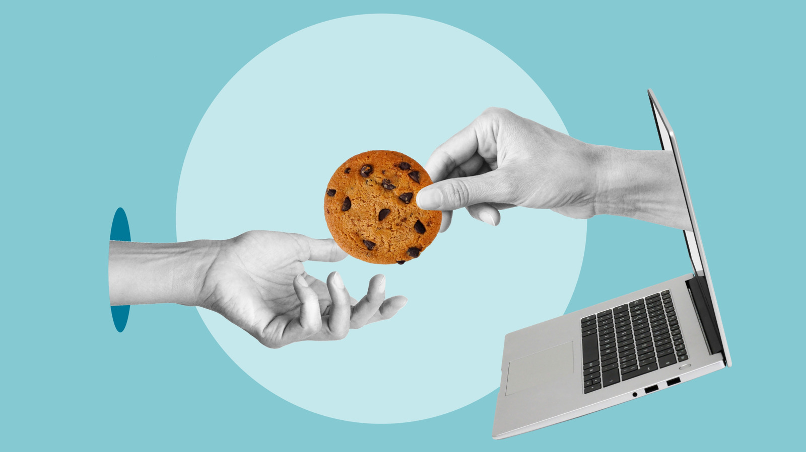 Should You Accept Or Reject Cookies From A Website? - BGR
