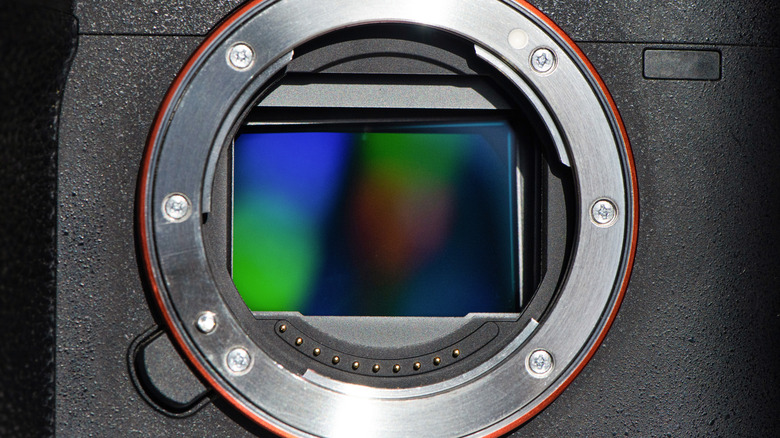 A CMOS sensor inside a digital camera.