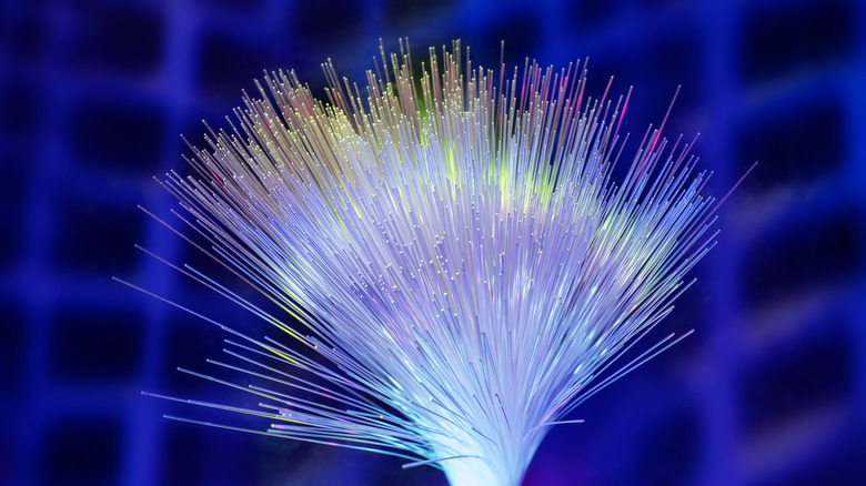 A bundle of colorfully-lit optical fiber lines.