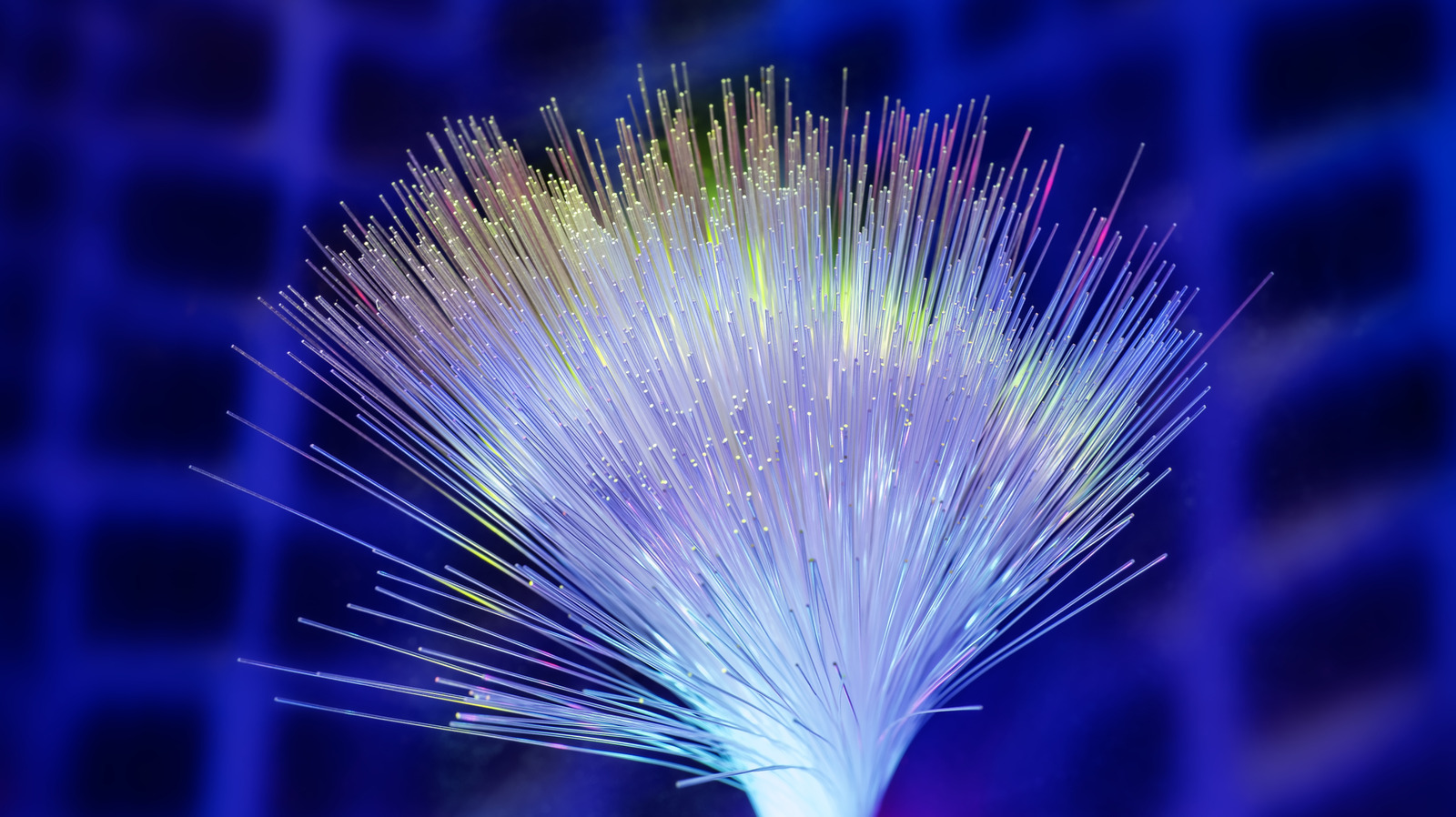 Silk Might Be The Reason 6G Internet Is Coming Sooner Than You Think