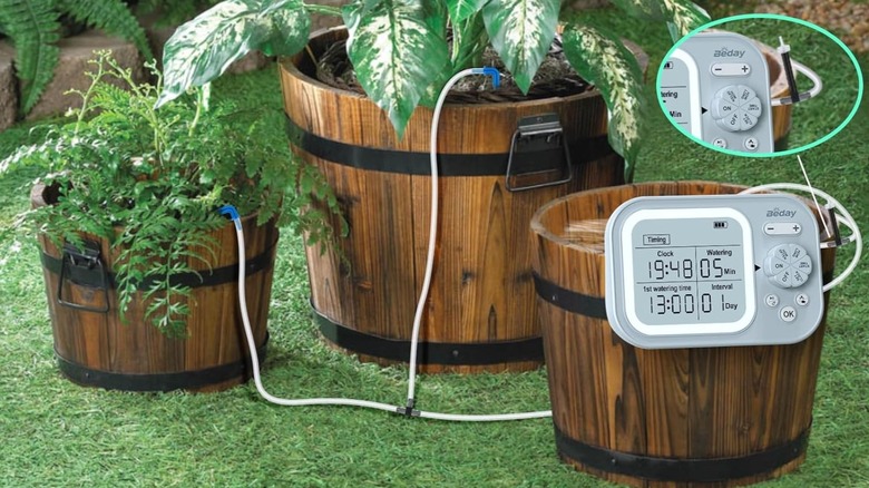 Plant waterer watering outdoor plants