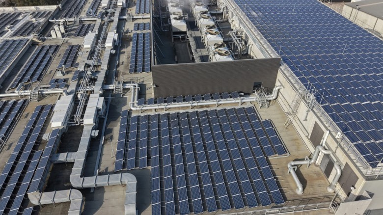 An industrial building with a massive solar array on its roof