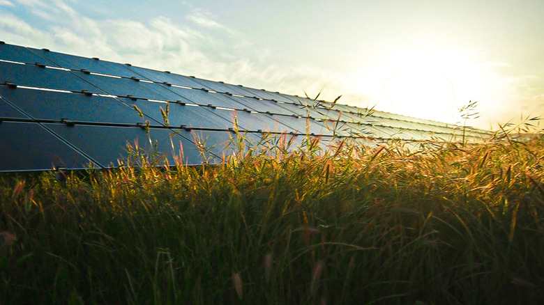 Topaz Solar Farm in California