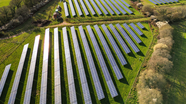 Aerial view of solar farm