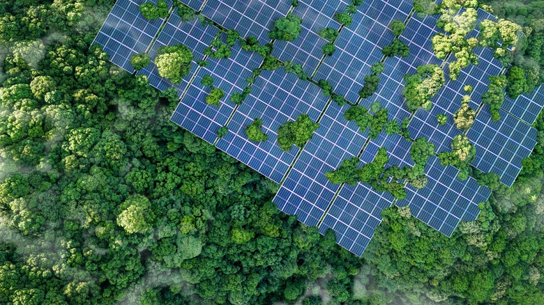 solar panels and green trees