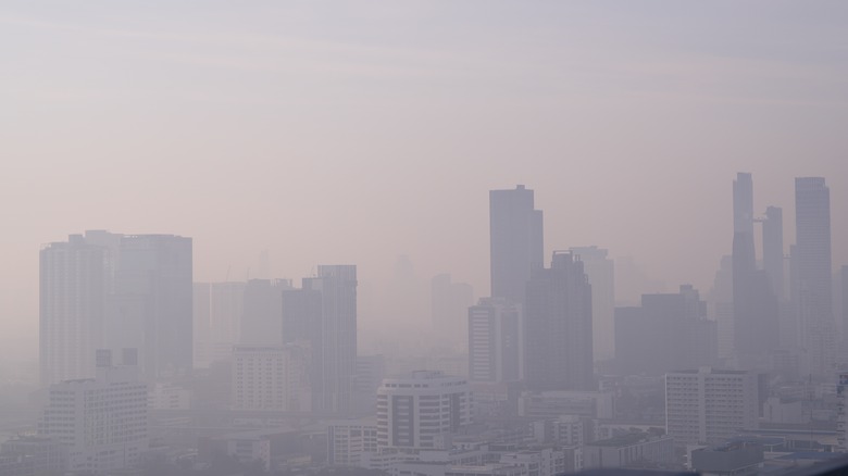 air pollution in a city