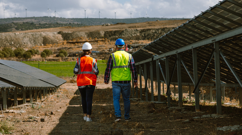 Agrivoltaic solar panels on an arid farm