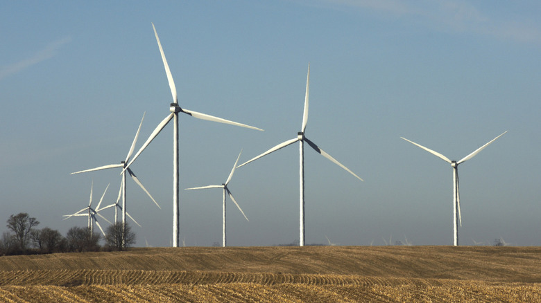 Wind turbines on Iowa farmland