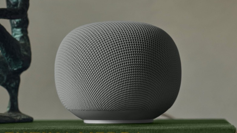 A hazel Google Home Speaker.