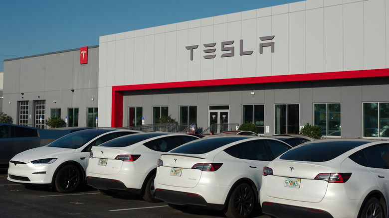 Exterior of a Tesla dealership with a row of parked white cars