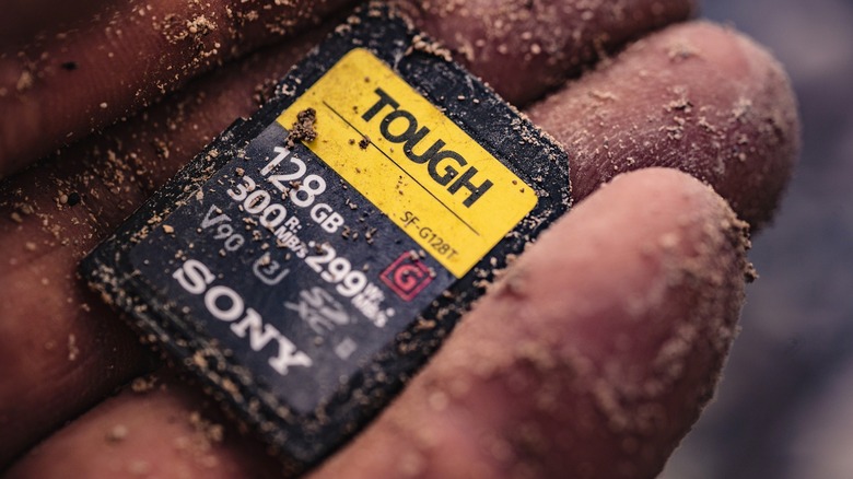 Hand covered in sand holding a Sony memory card