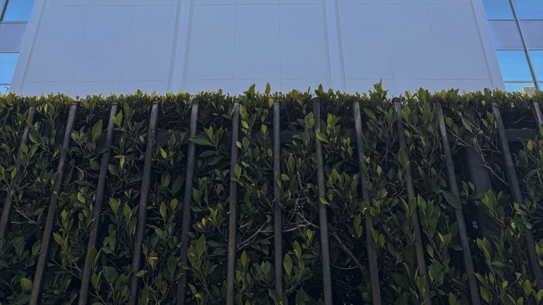 SpaceX company logo on the side of its headquarters