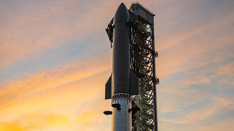SpaceX's Starship seen stacked on the Starbase launch tower