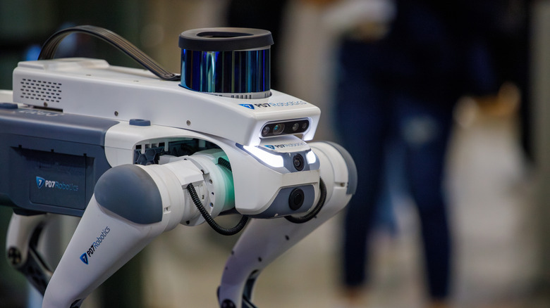 A close-up of a "Spot" robot dog model