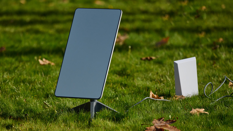 SpaceX Starlink satellite dish placed in the grass