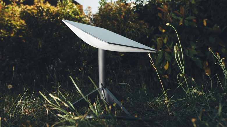 A Starlink dish set up outside with foliage nearby and in the background.
