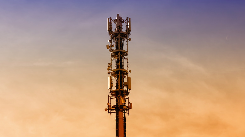 A 5G mobile antenna in the foreground and the setting sun in the background.
