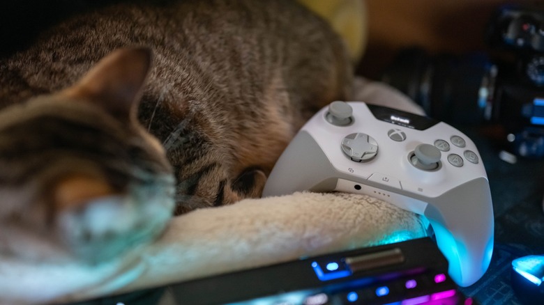 The SteelSeries Aeon Pro next to a sleeping cat.