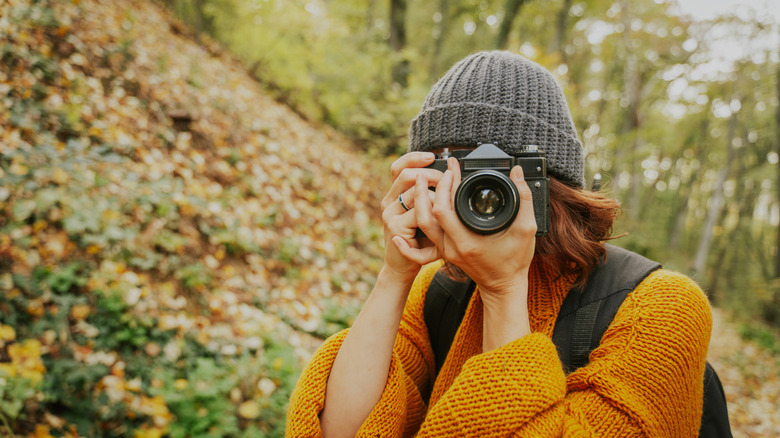 Looking through the viewfinder of a camera out in the woods