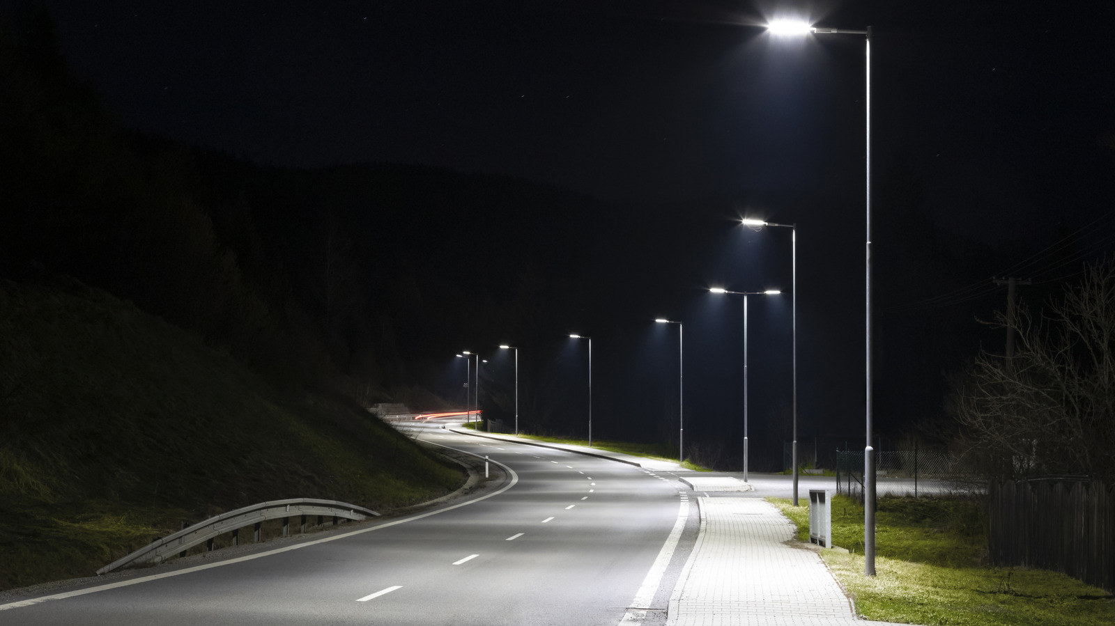Streetlights Could Be Unexpectedly Trapping Bugs In A Dangerous Cycle