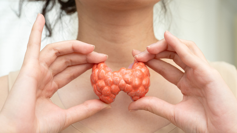 a replica of a thyroid gland being held by a woman up near her neck