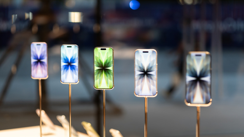 The standard iPhone 17 on display.