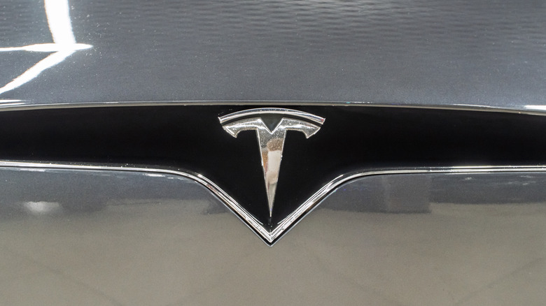 Front badge of a Tesla Model Y