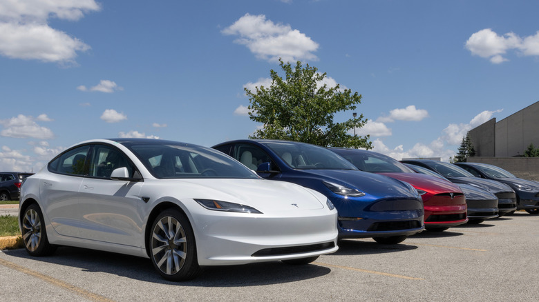 Different Tesla cars in a parking
