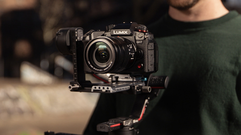 A person using the Panasonic LUMIX GH7 camera
