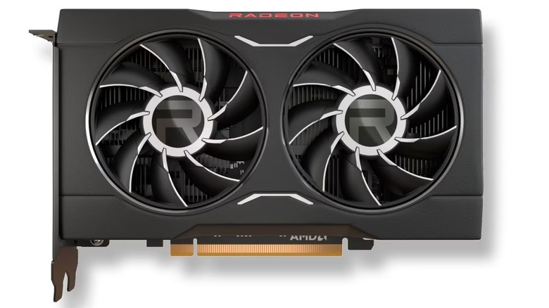 An AMD RX 6500 XT on a white background.