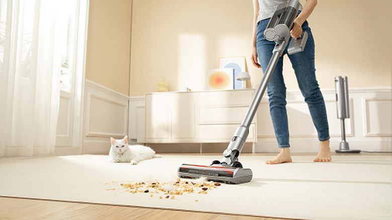 A person cleaning a carpet using a vacuum cleaner while a white cat looks on.