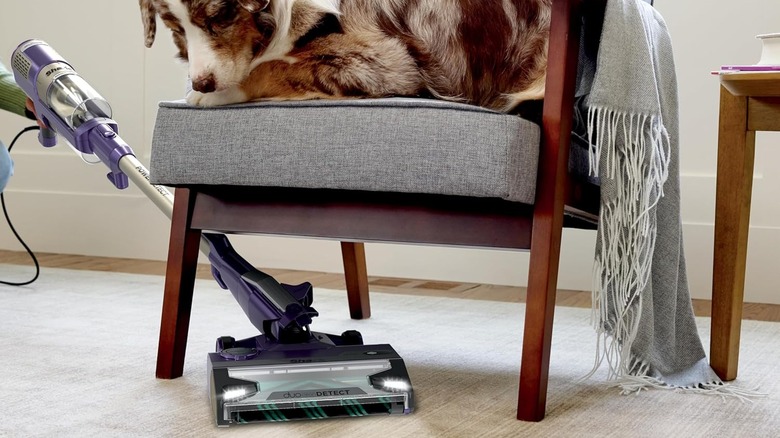 The Shark PowerDetect HZ4002 corded stick vacuum cleaning underneath a chair.