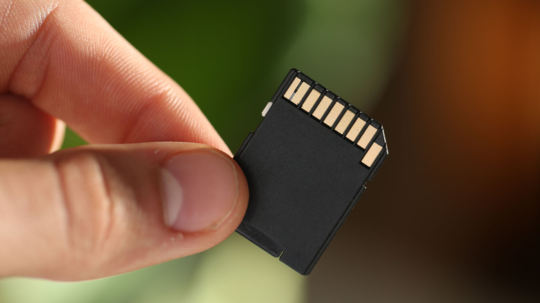 A person holding an SD card