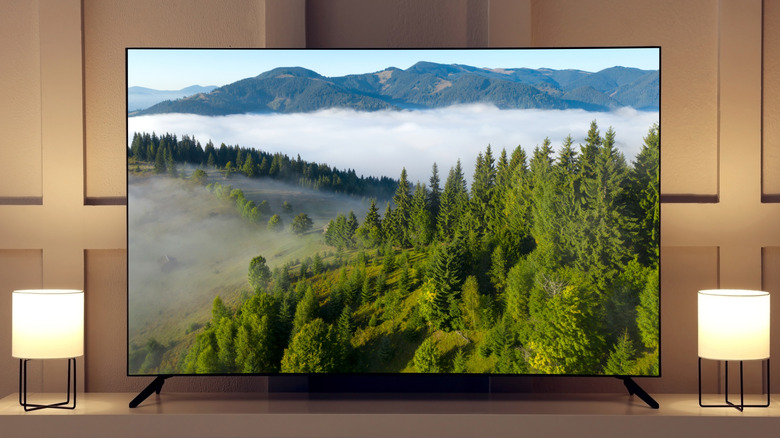 TV showing a natural landscape with hills and trees on the screen