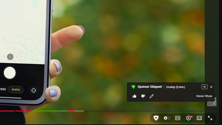SponsorBlock browser extension showing Sponsor Skipped in a video