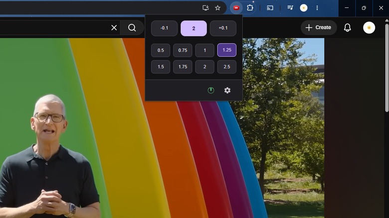 Video Speed Controller browser extension panel showing speed options