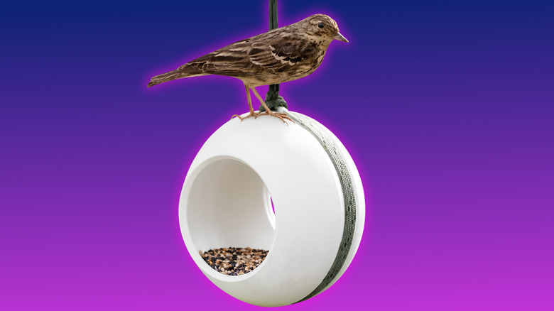 A bird feeder made from Polymaker PETG filament on a purple gradient background.