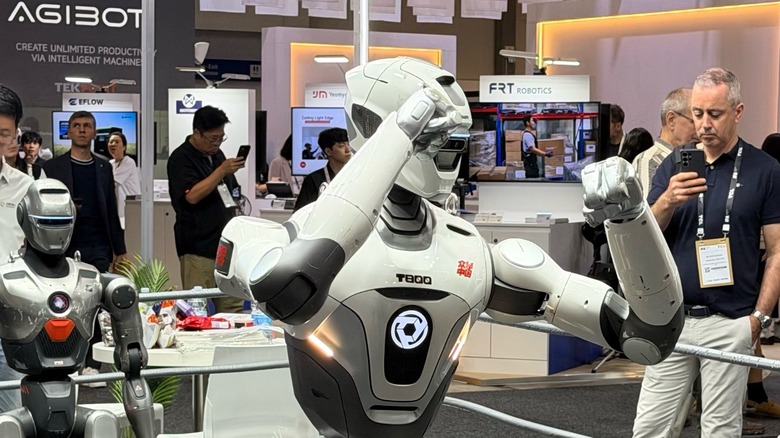 Humanoid robot in a fight ring