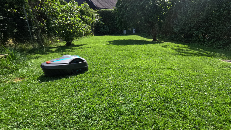 A robot lawn mower, working on a yard.