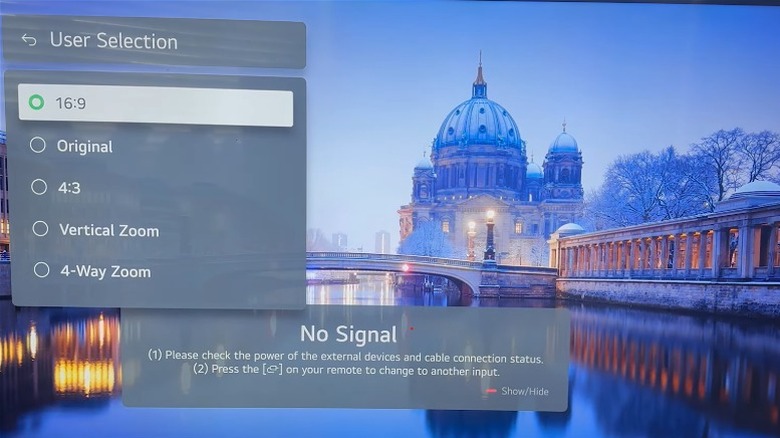 Aspect ratio sizes menu