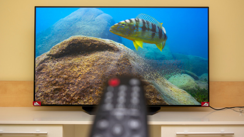 Remote pointed at an OLED TV displaying a fish in the ocean.