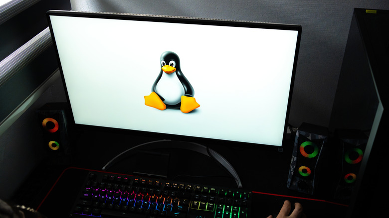 person sitting on a workstation with the monitor showing the Linux logo