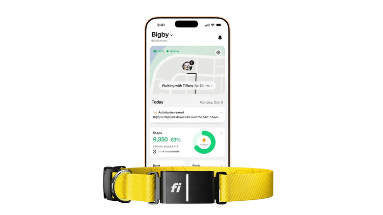 Smart dog collar and phone tracking it