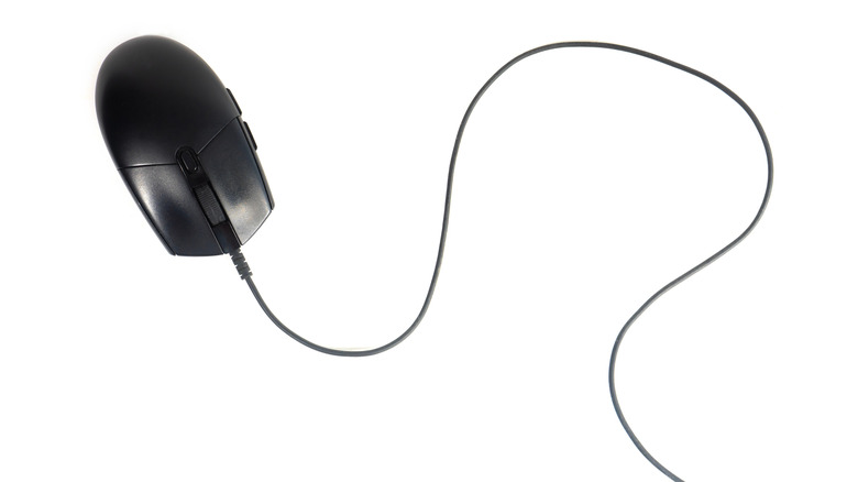 A black computer mouse.