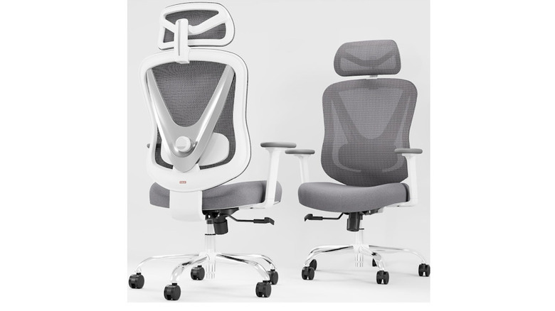 Holludle Ergonomic Mesh Chair showing the front and back