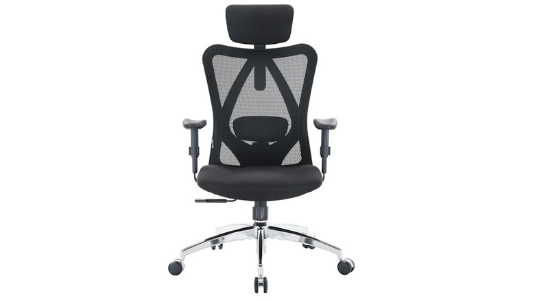 Sihoo Ergonomic Office Chair on a white background