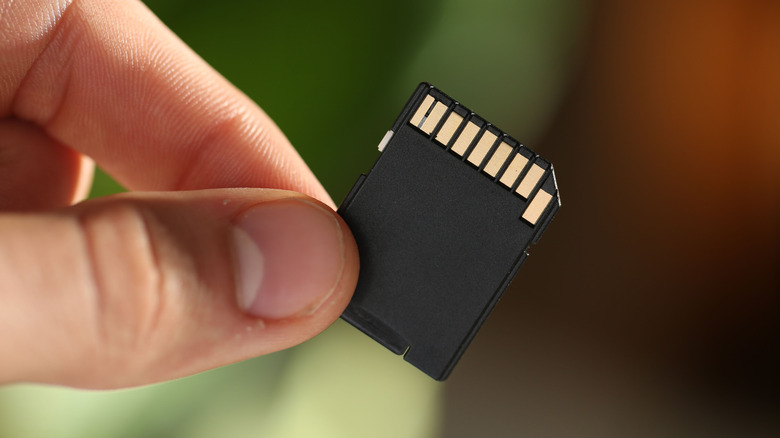 SD card held between thumb and forefinger