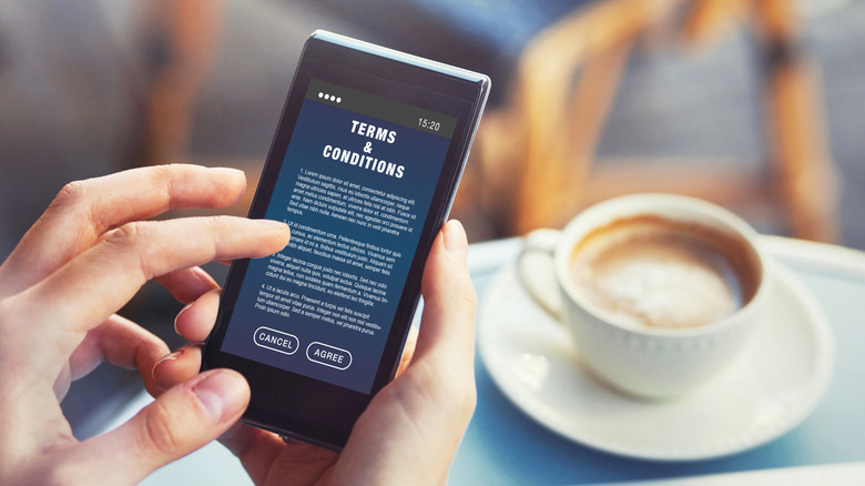 person reading terms online