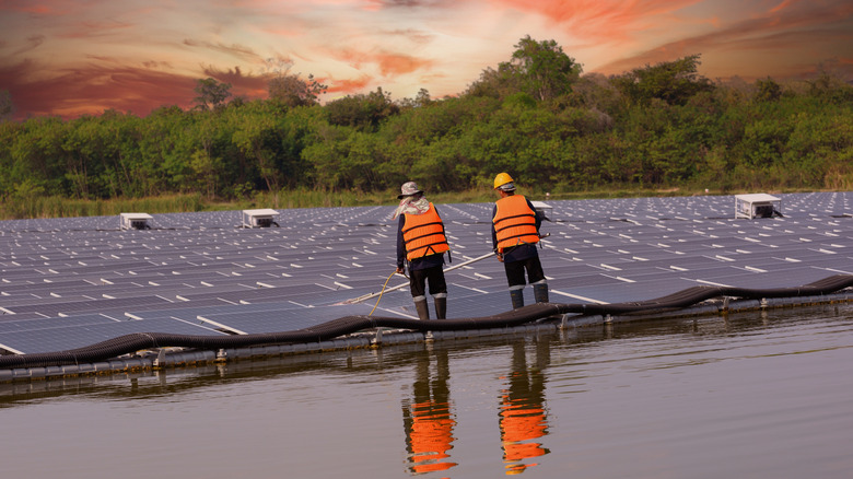Technicians inspecting floating solar panels.